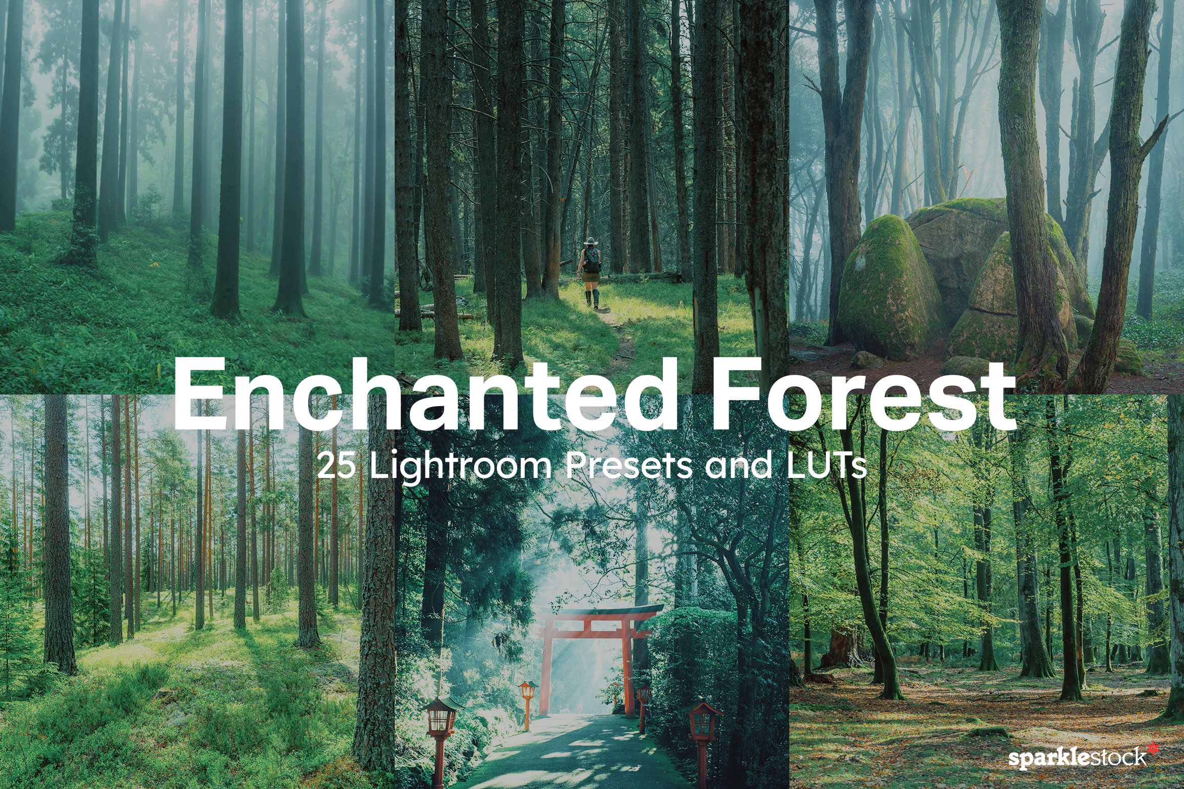 25 Enchanted Forest Lightroom Presetcover image.