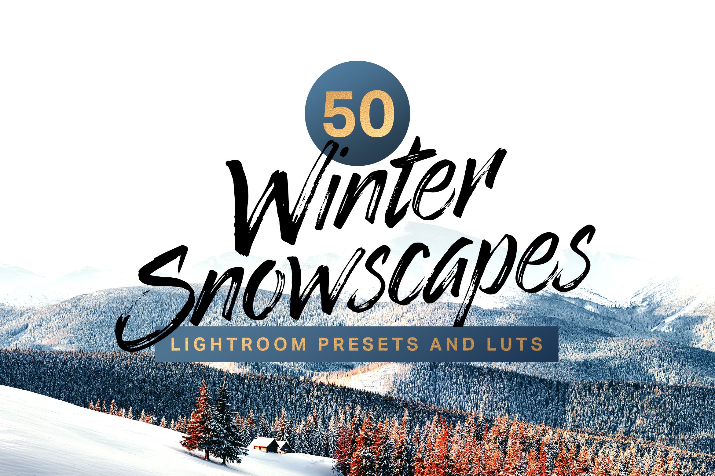 50 Winter Lightroom Presets and LUTscover image.