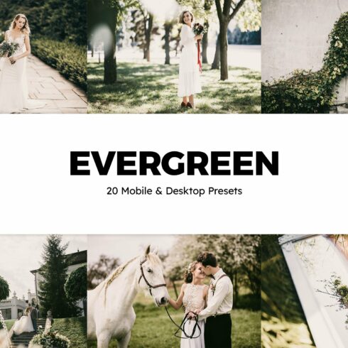 20 Evergreen Lightroom Presets & LUTcover image.