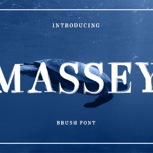 MASSEY cover image.