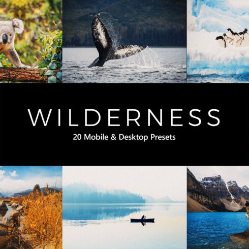 20  Wilderness LR Presetscover image.