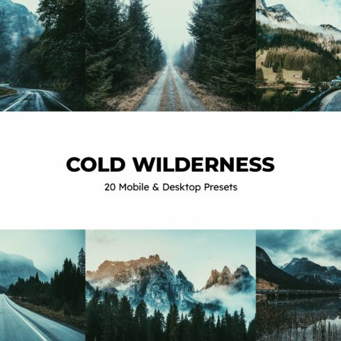 20 Cold Wilderness Lightroom Presetscover image.