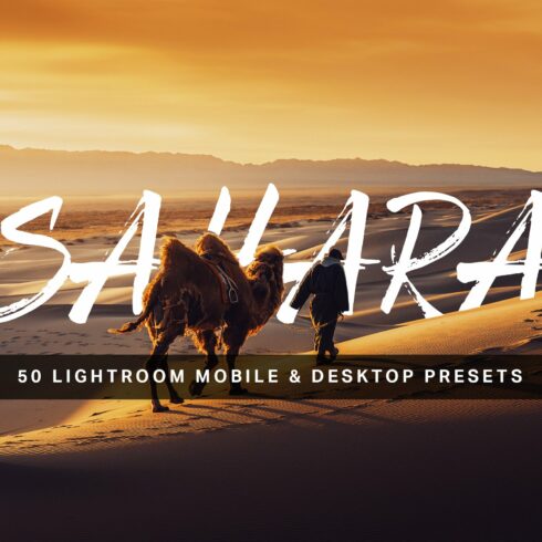 50 Sahara Lightroom Presets and LUTscover image.