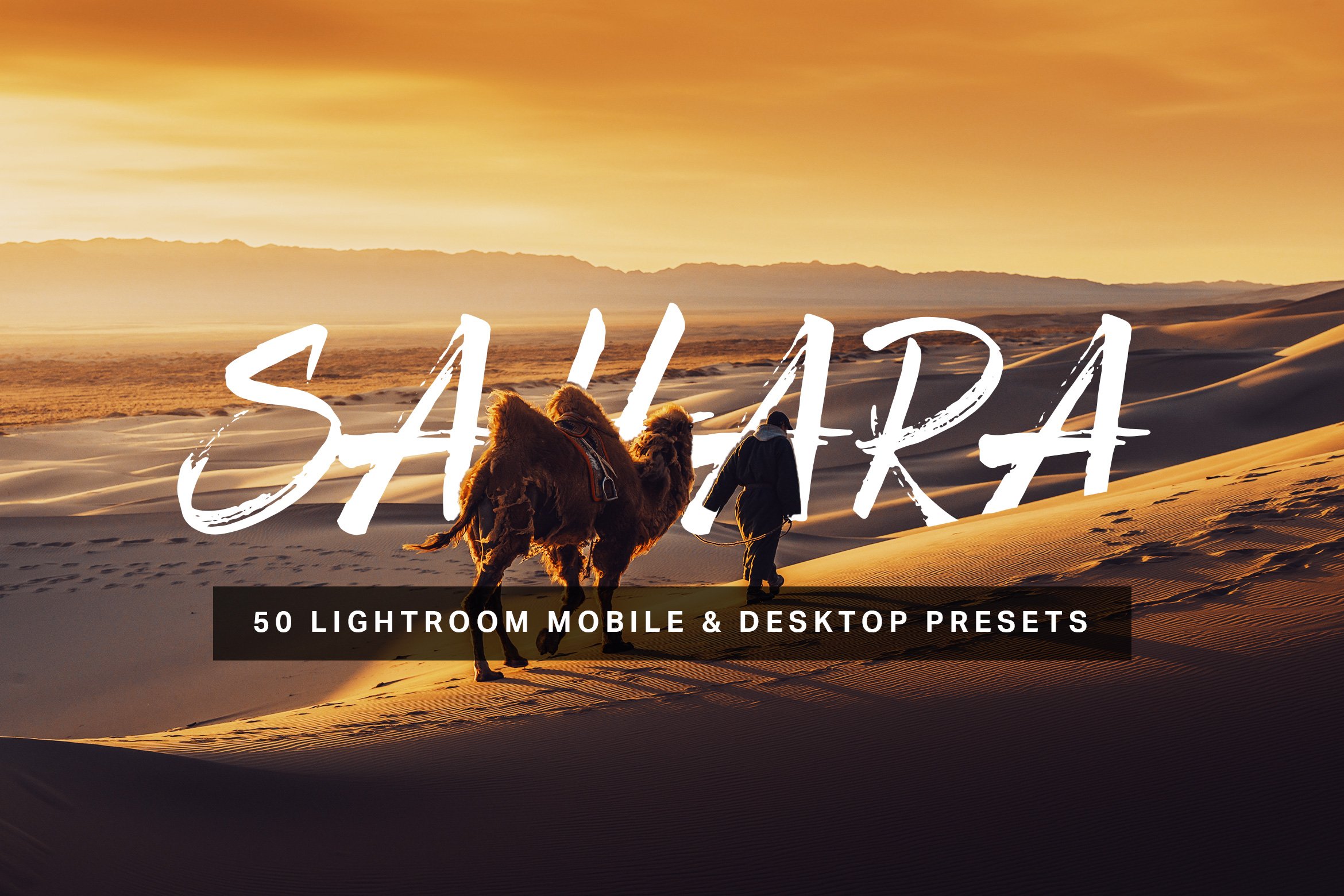 50 Sahara Lightroom Presets and LUTscover image.