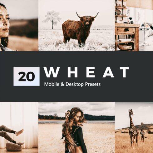 20 Wheat Lightroom Presets and LUTscover image.