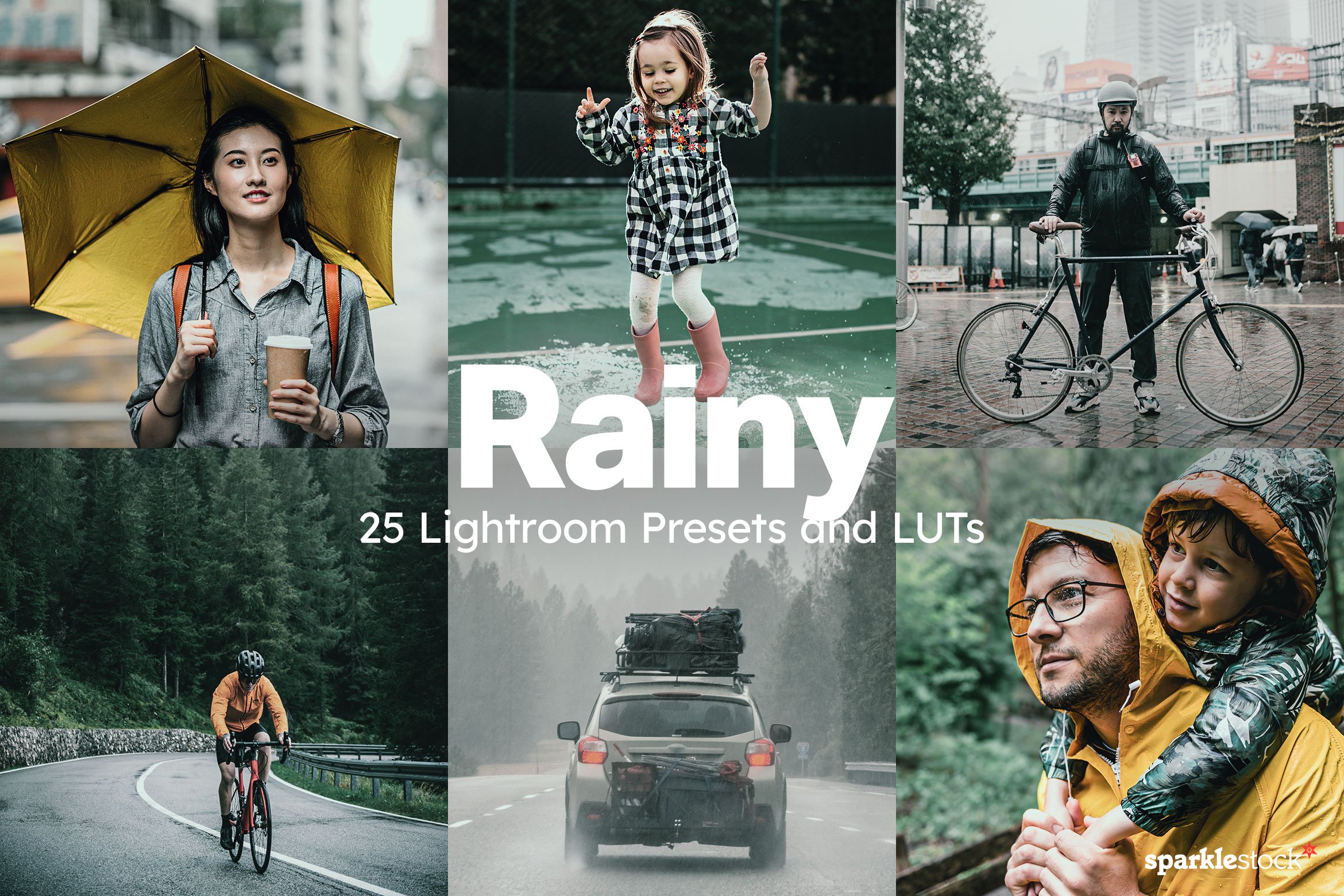 25 Rainy Lightroom Presets and LUTscover image.