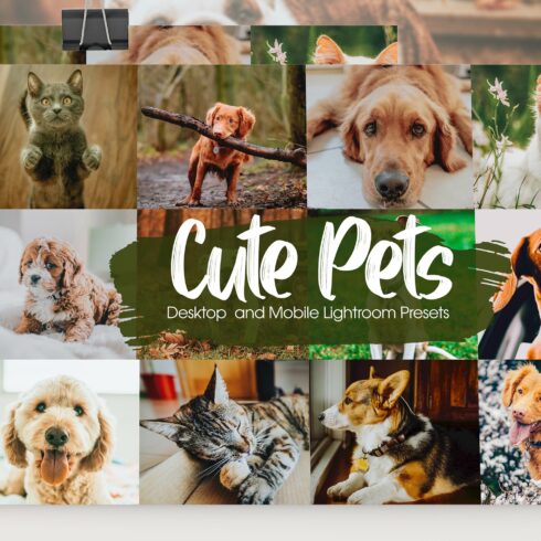 Cute Pets Lightroom Presetscover image.