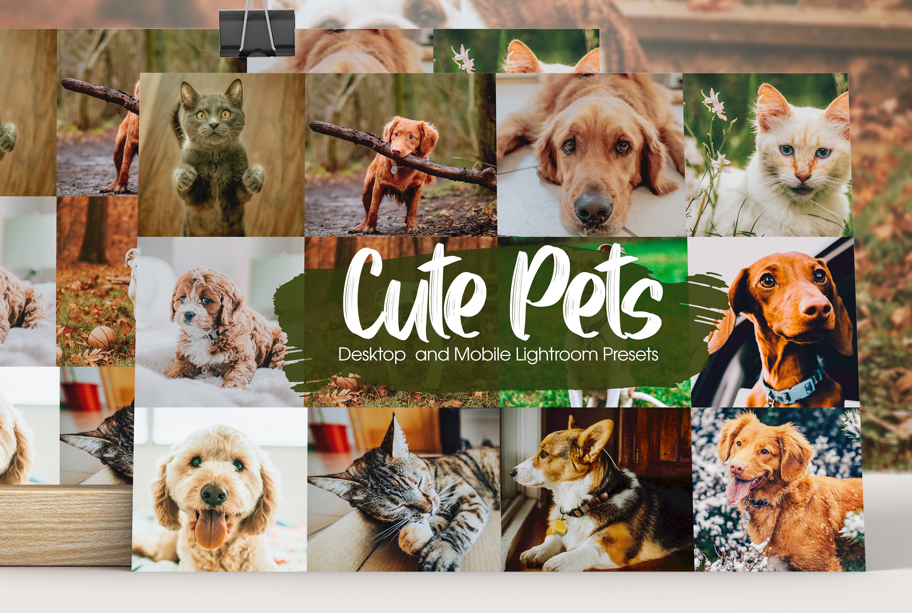 Cute Pets Lightroom Presetscover image.