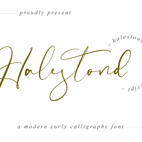 Halestond - Wedding Script Font cover image.