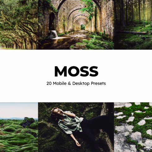 20 Moss Lightroom Presets & LUTscover image.