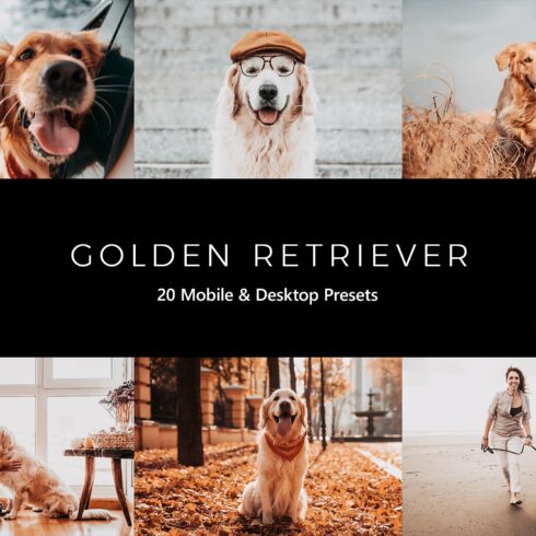 20  Golden Retriever LR Presetscover image.