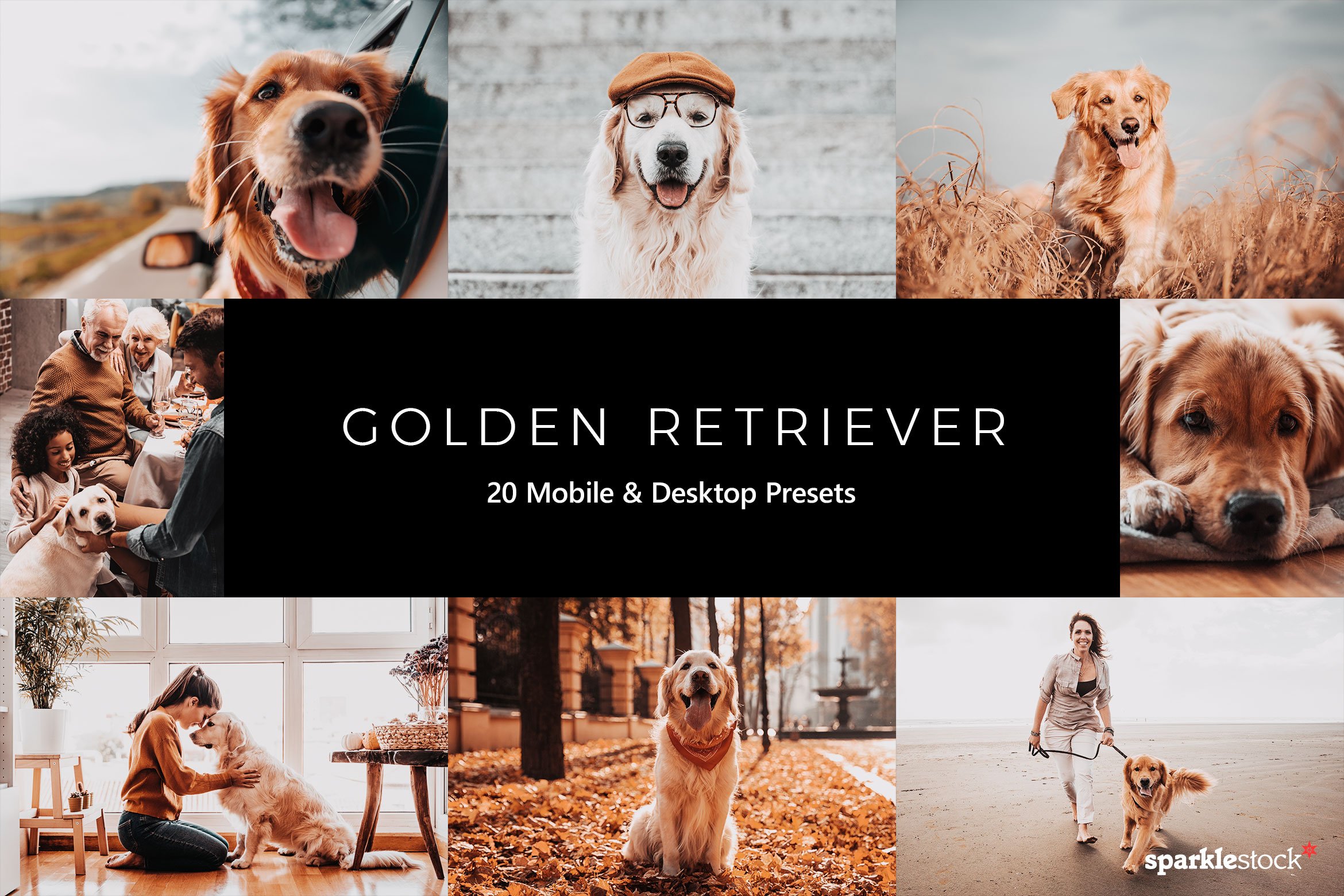 20  Golden Retriever LR Presetscover image.