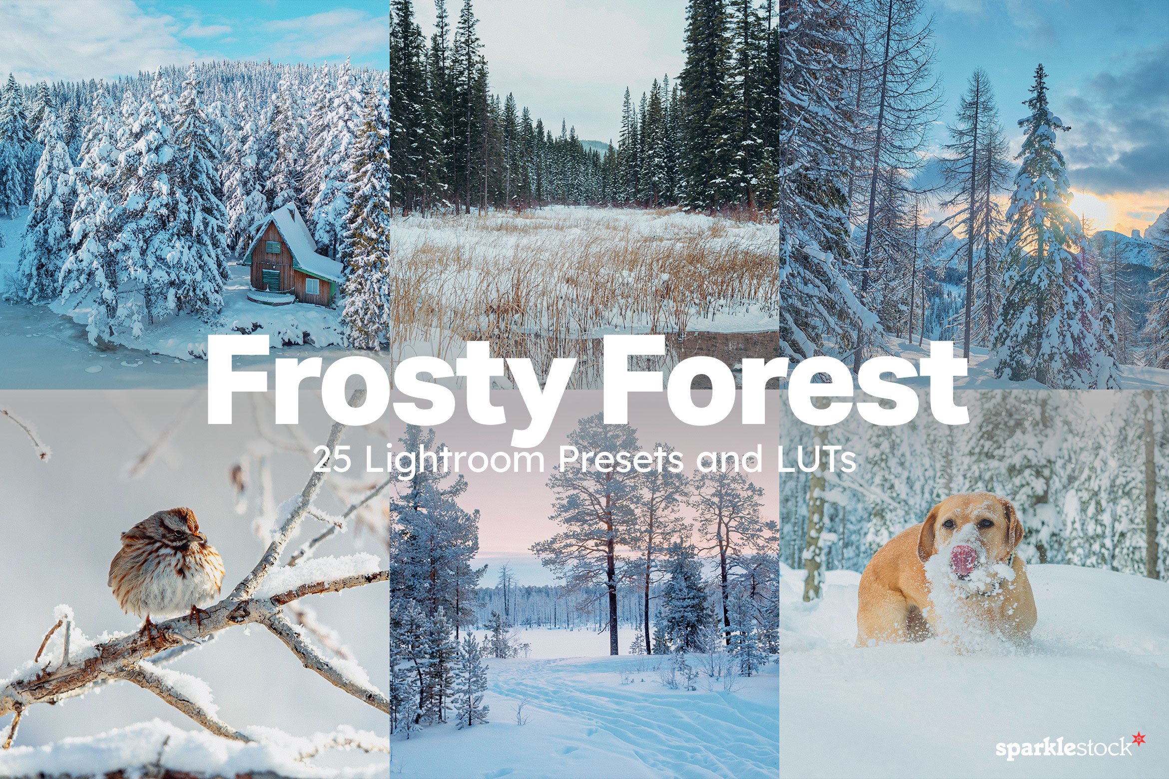 25 Frosty Forest Lightroom Presetscover image.
