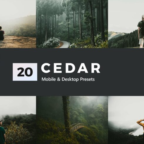 Cedar Lightroom Presets & LUTscover image.