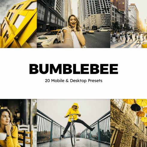 20 Bumblebee Lightroom Presets LUTscover image.