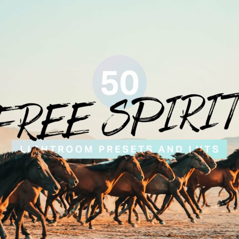 50 Free Spirit Lightroom Presetscover image.