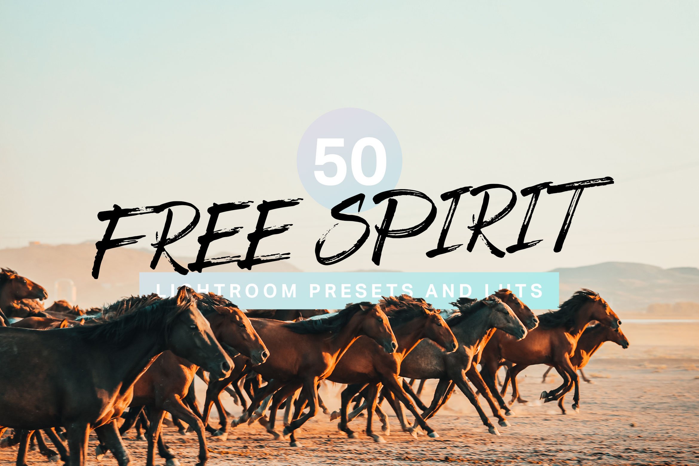 50 Free Spirit Lightroom Presetscover image.