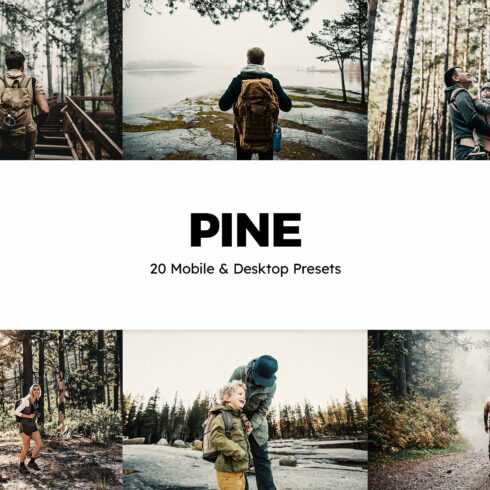 20 Pine Lightroom Presets & LUTscover image.