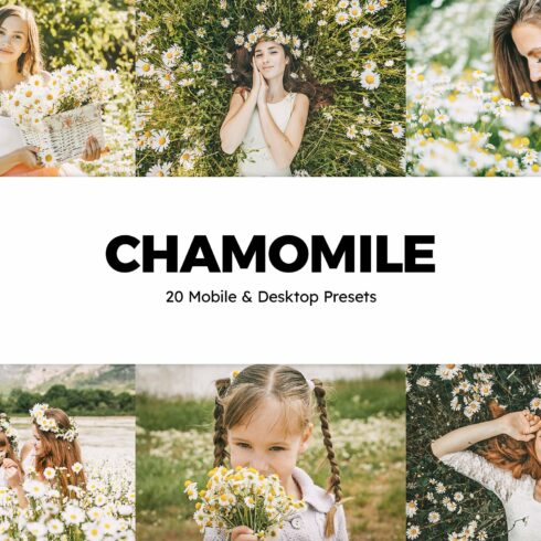 20 Chamomile Lightroom Presets & LUTcover image.