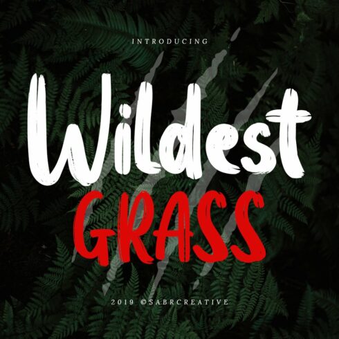 Wildest Grass cover image.