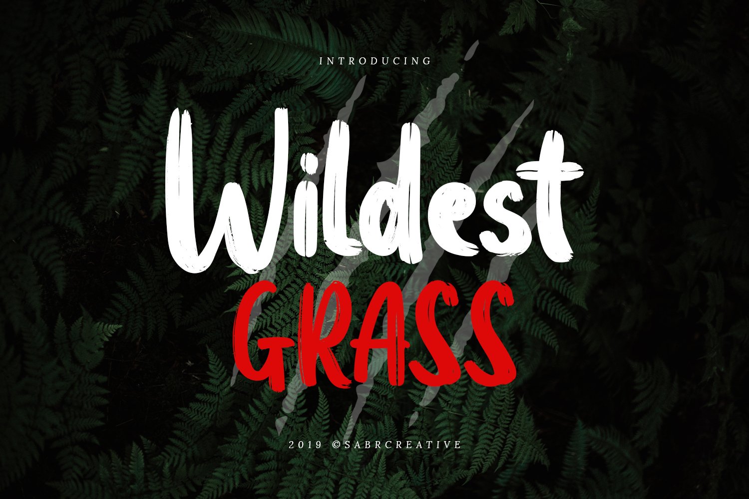 Wildest Grass cover image.