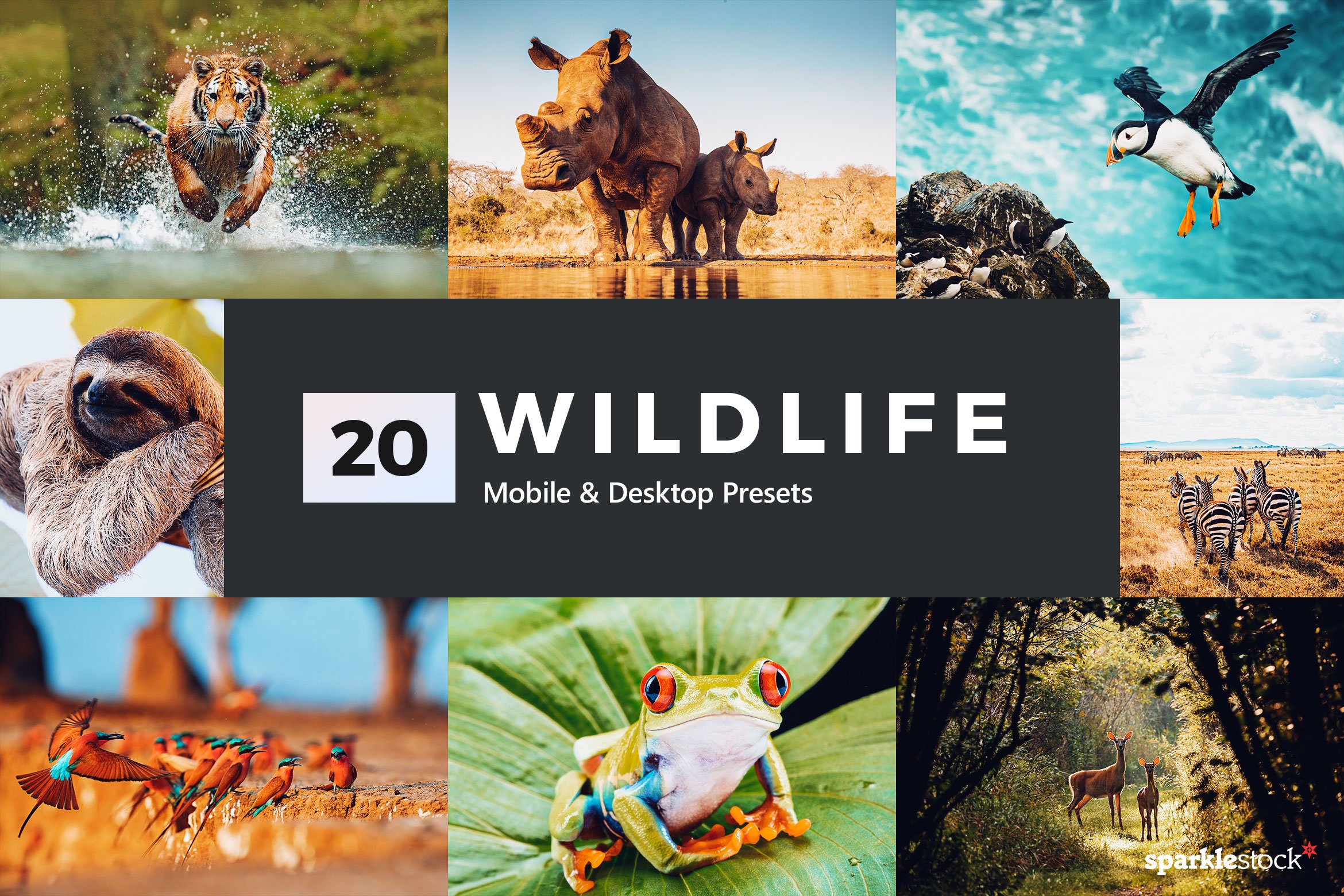 20 Wildlife Lightroom Presets & LUTscover image.