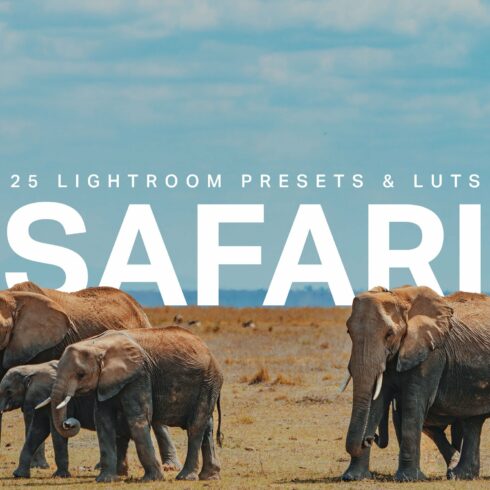 25 Safari Lightroom Presets LUTscover image.