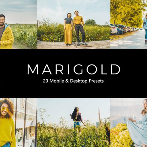 20 Marigold Lightroom Presets & LUTscover image.