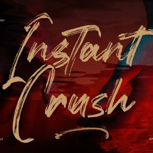 Instant Crush - Ligatures Font cover image.