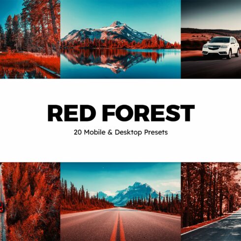 20 Red Forest Lightroom Presetscover image.