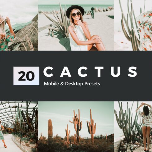 20 Cactus Lightroom Presets and LUTscover image.
