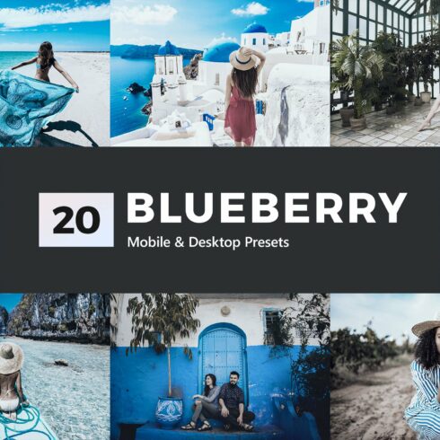 20 Blueberry Lightroom Presets & LUTcover image.