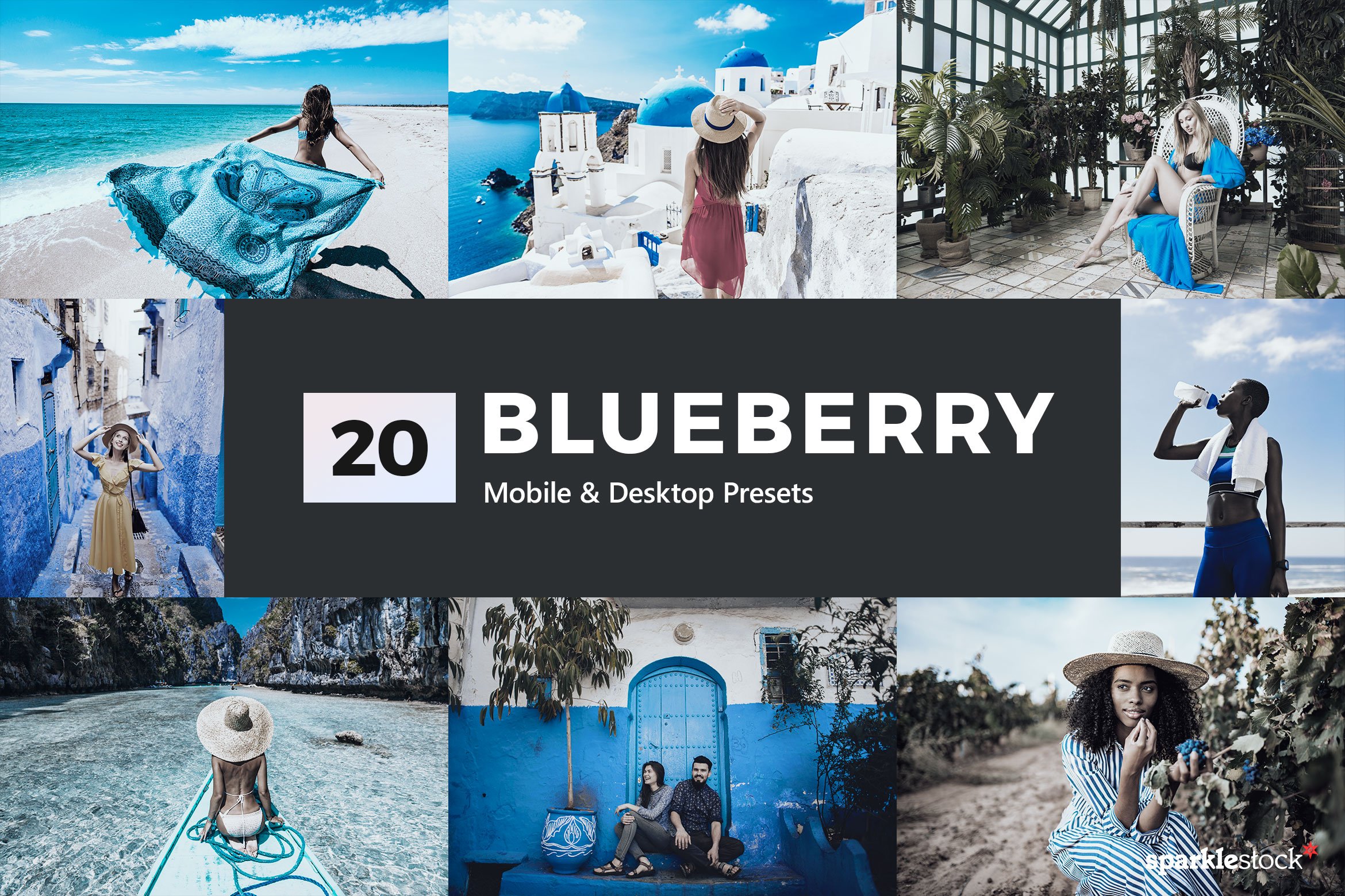 20 Blueberry Lightroom Presets & LUTcover image.