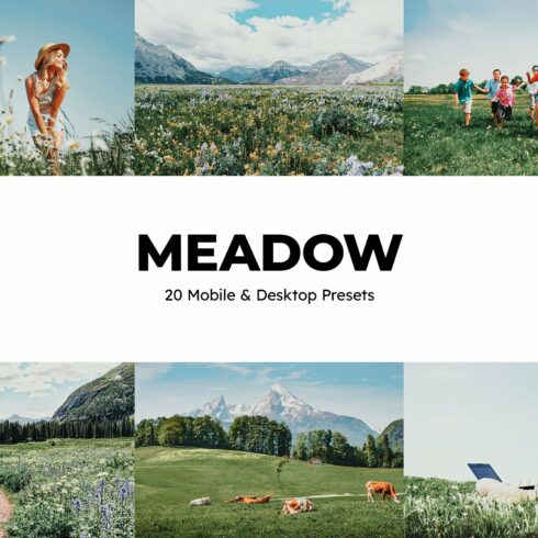 20 Meadow Lightroom Presets LUTscover image.