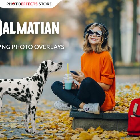 28 Dalmatian Photo Overlayscover image.