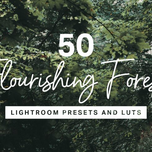 50 Forest Lightroom Presets and LUTscover image.