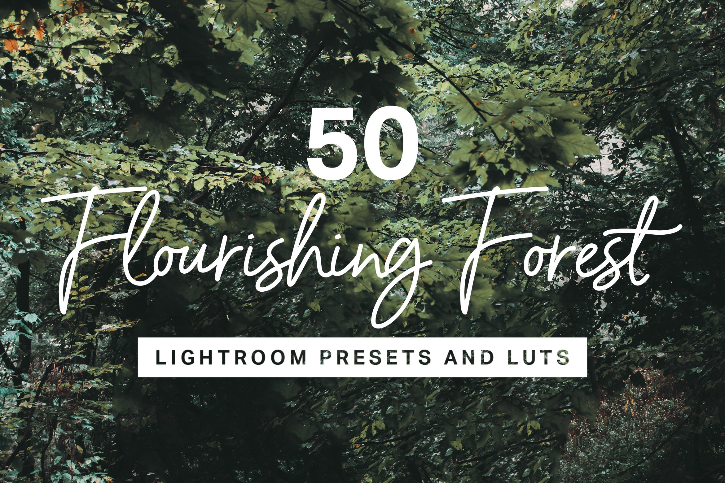 50 Forest Lightroom Presets and LUTscover image.