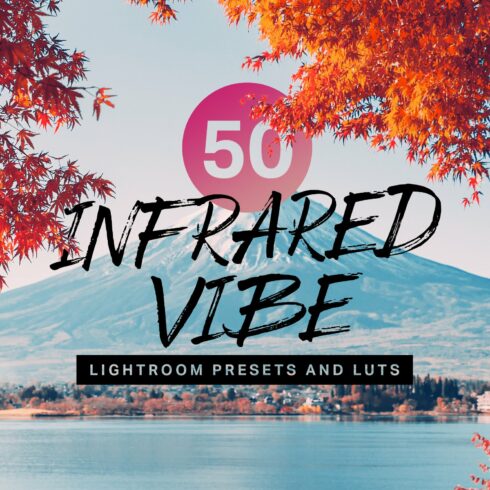 50 Infrared Vibe Lightroom Presetcover image.