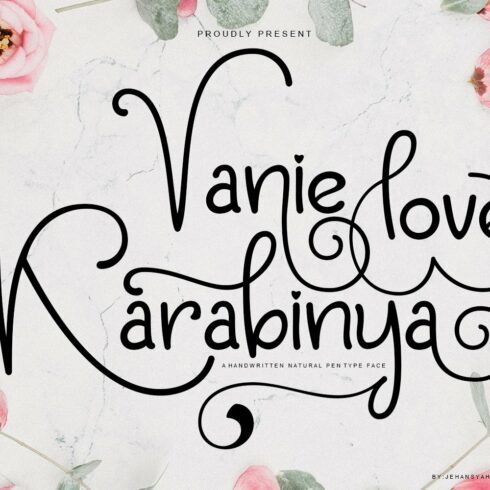 Vanie Karabinya Love cover image.