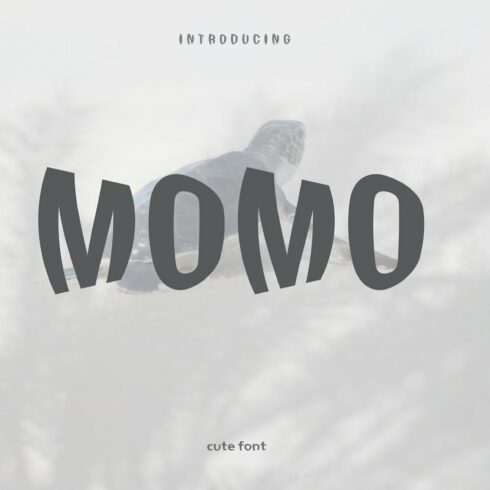 Momo cover image.