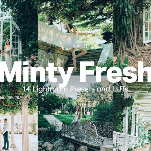 Minty Fresh Lightroom Presets LUTscover image.