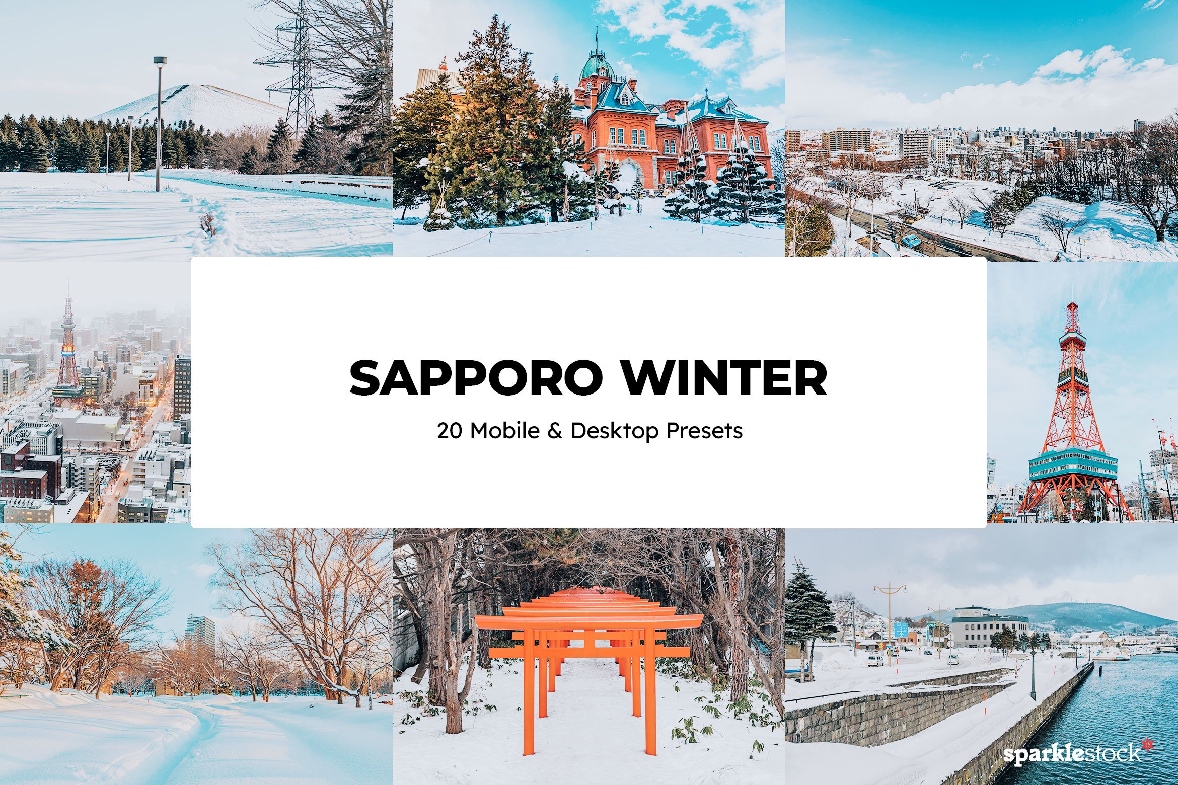 20 Sapporo Winter Lightroom Presetscover image.