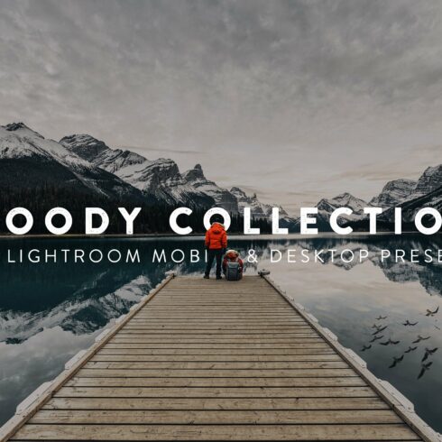50 Moody Lightroom Presets and LUTscover image.