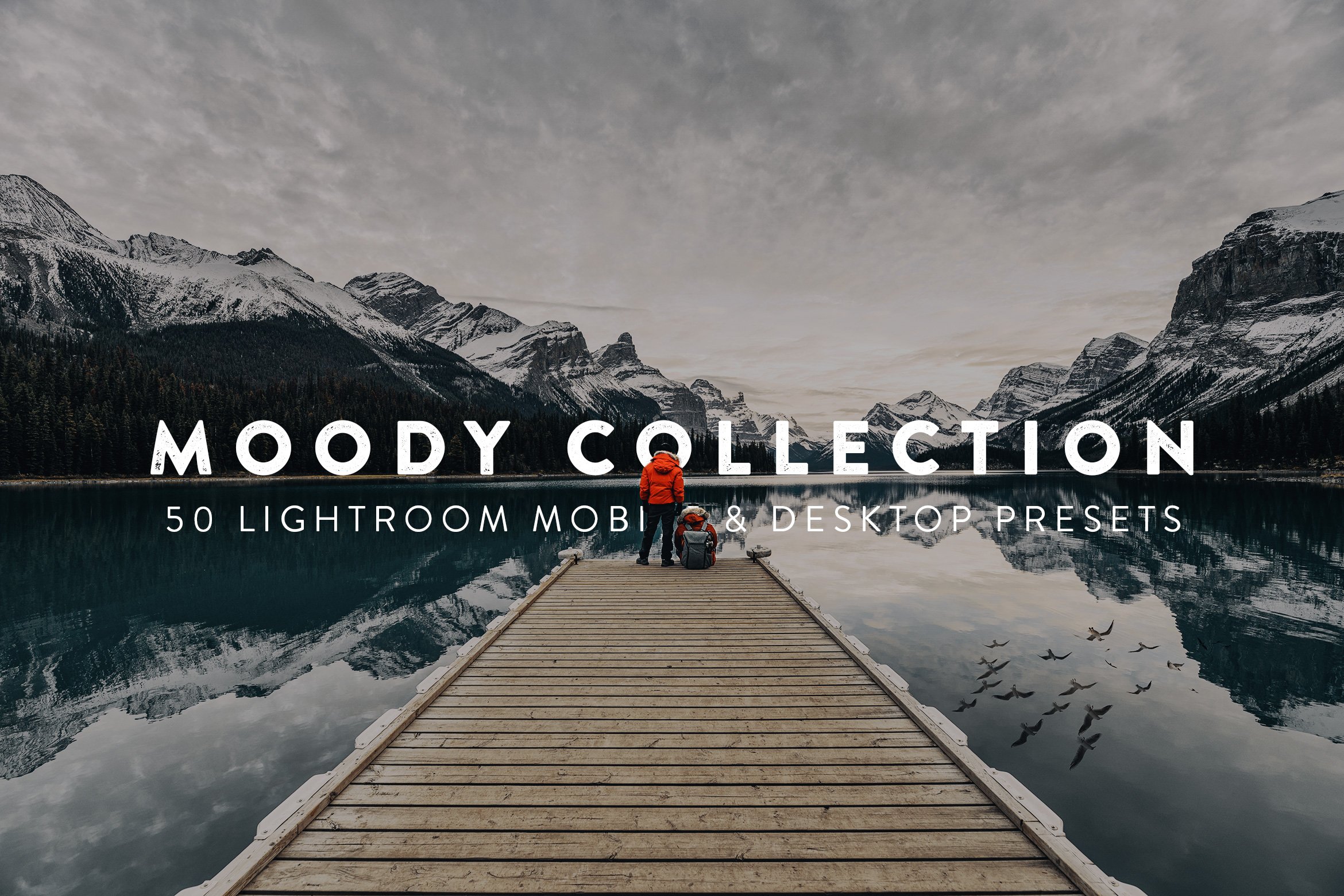 50 Moody Lightroom Presets and LUTscover image.
