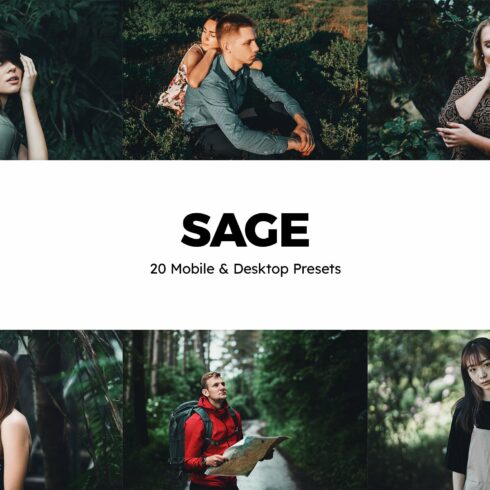 20 Sage Lightroom Presets & LUTscover image.