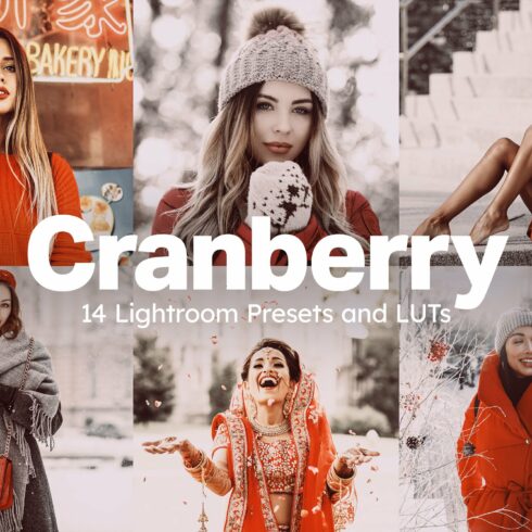 14 Cranberry Lightroom Presets LUTscover image.