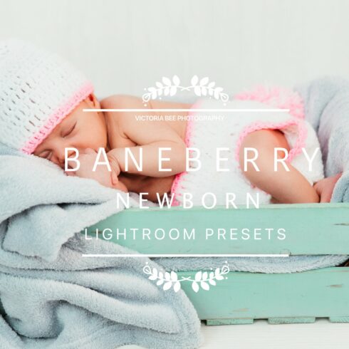 Desktop Lightroom Presets BANEBERRYcover image.