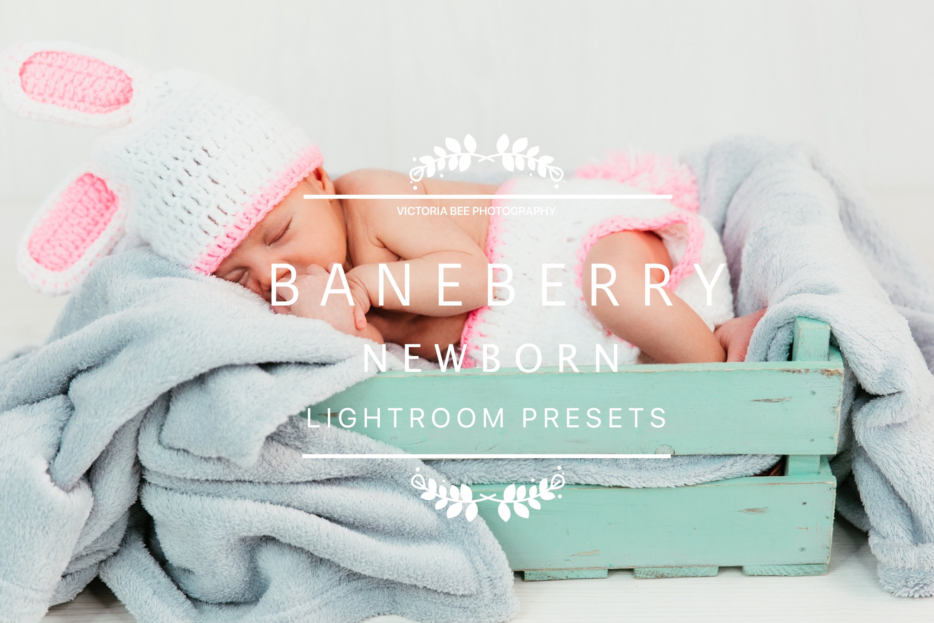 Desktop Lightroom Presets BANEBERRYcover image.