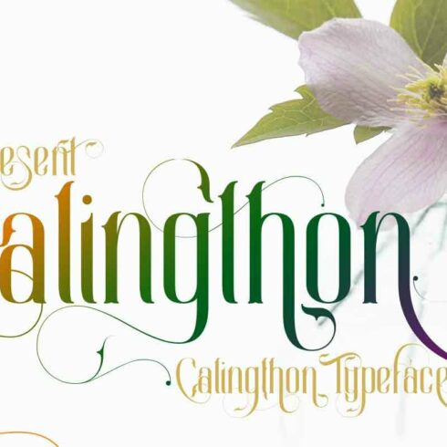 Calingthoncover image.