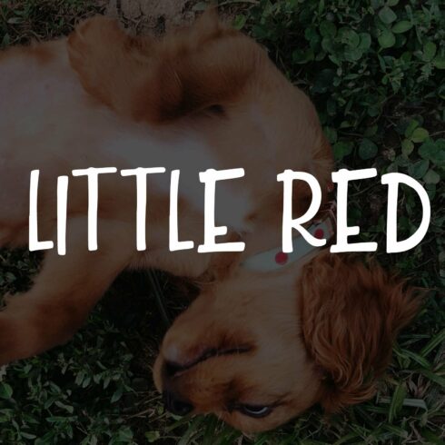 Little Red cover image.